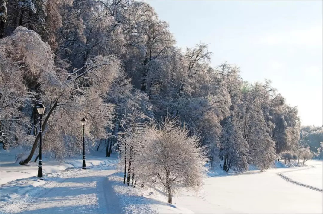 Царицыно, фонари