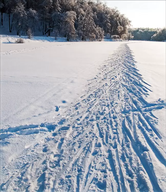 Царицыно, лыжня