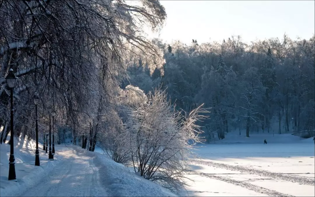 Царицыно, рыбачок