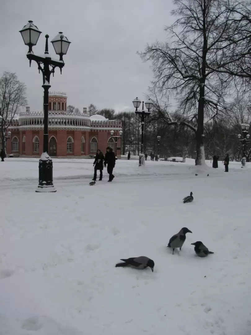 Парк Царицыно зимой, фото 27