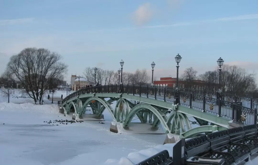 Парк Царицыно зимой, фото 30