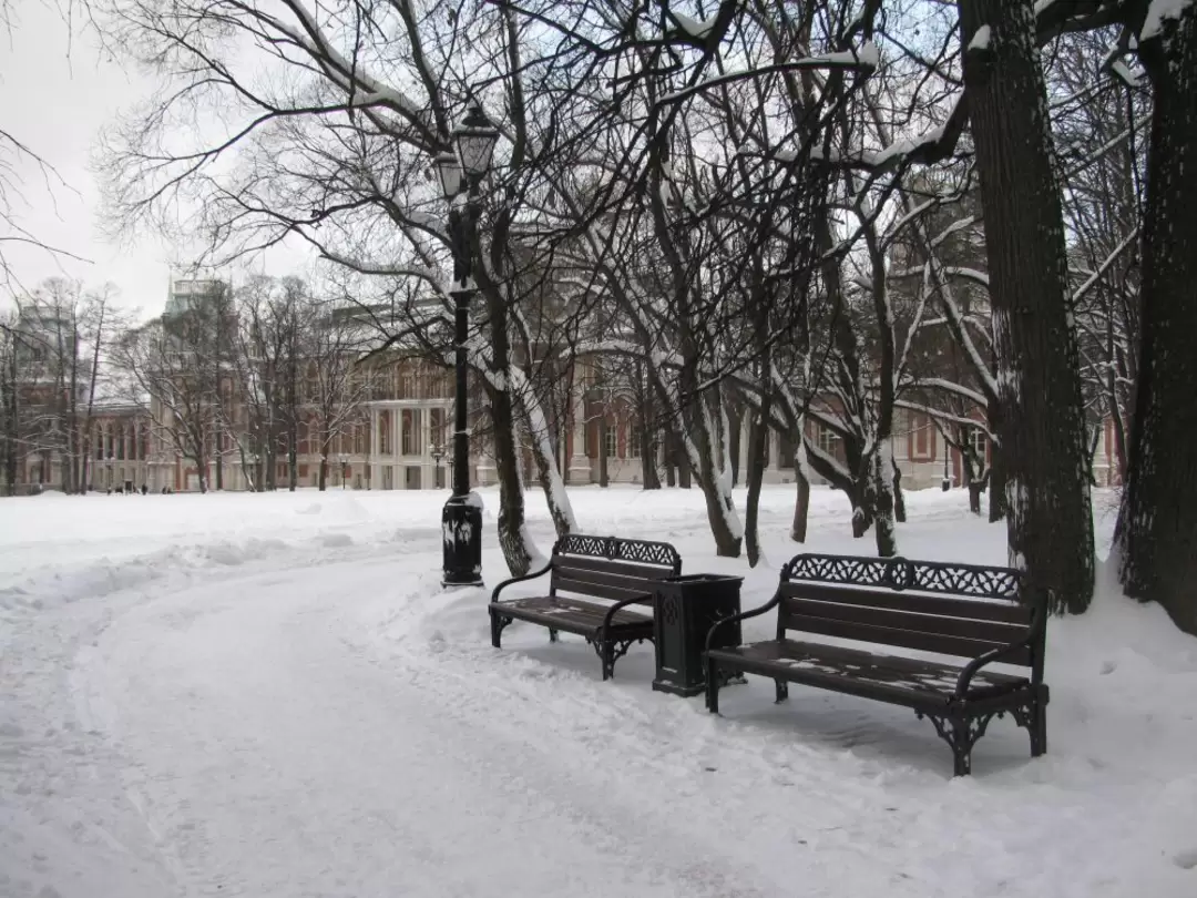 Парк Царицыно зимой, фото 32