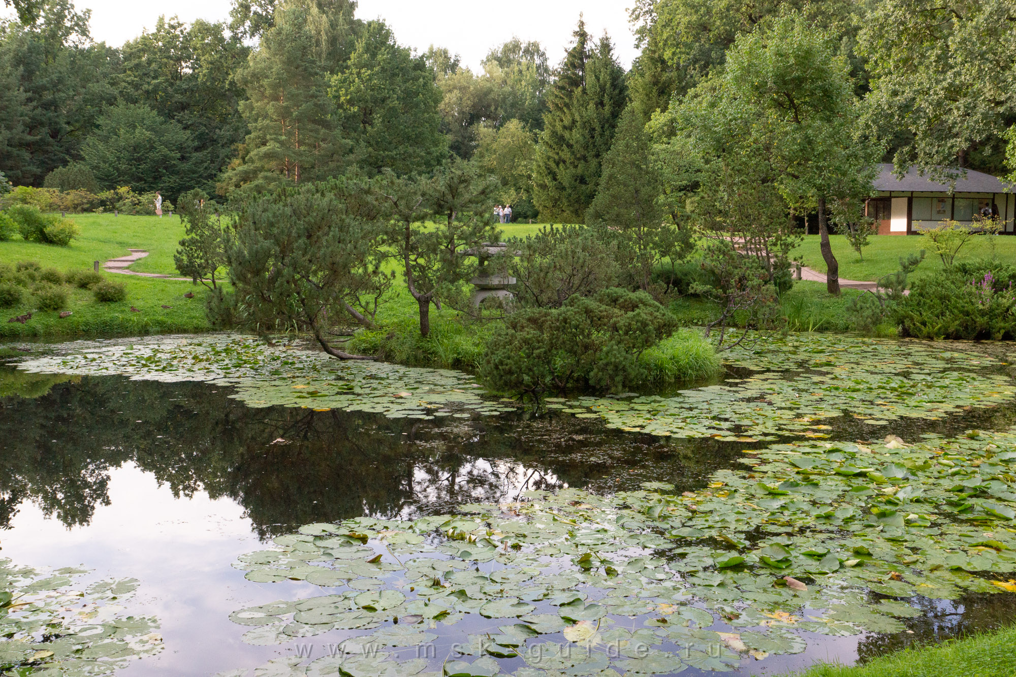 Японский сад
