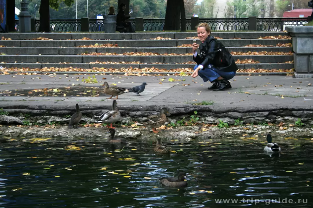 Парк Горького в Москве, уточки