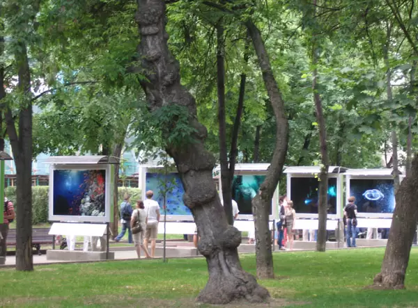 Выставка фотографий на аллеях