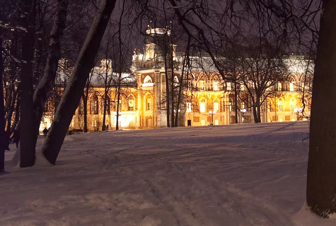 Огни Большого дворца в парке Царицыно