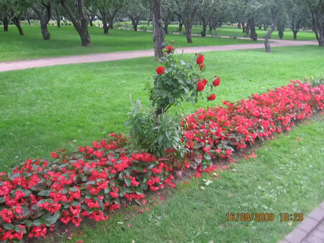 Коломенское, фото 78